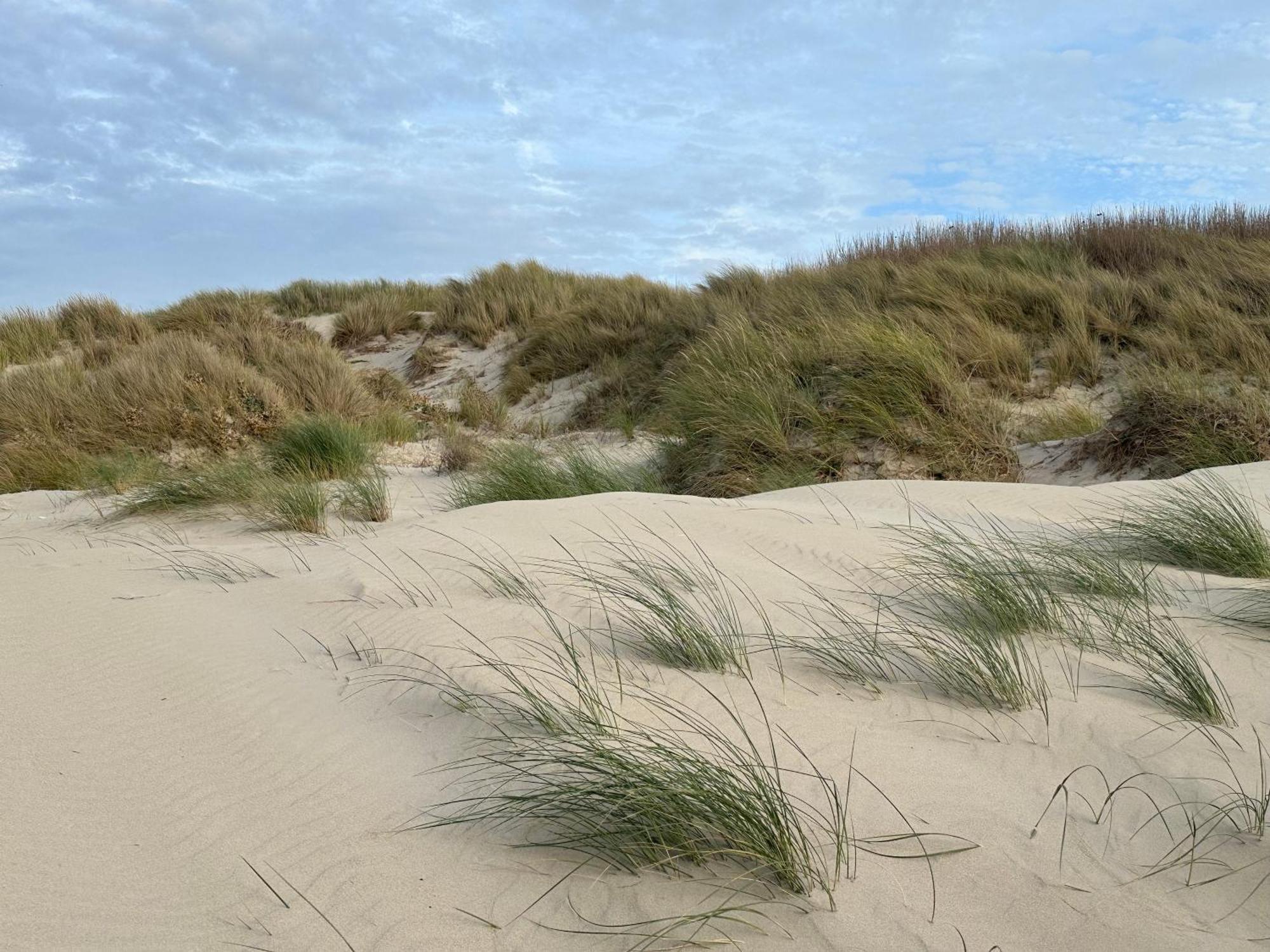 Bleu Blanc Dunes Appartement Plage Merlimont 10 Mn Berck Le Touquet Exterior photo